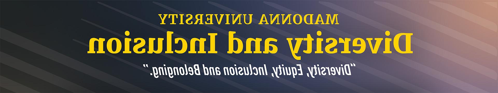 多样性 和 包容 banner image with the quoted subtitle "多样性, 股本, 包容 和 Belonging"